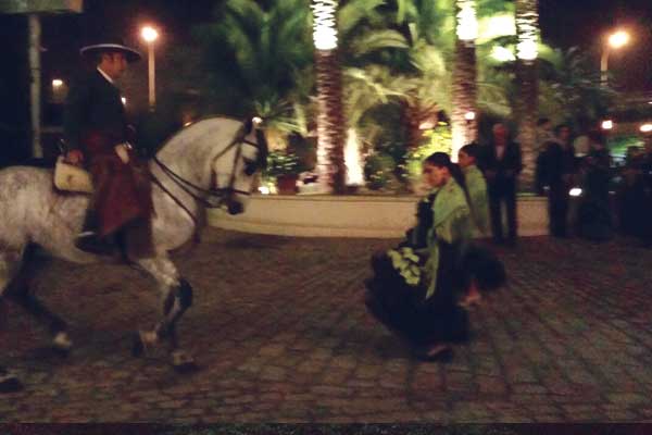 Dancing_horse_6
